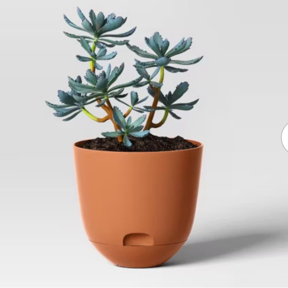 Room Essentials Self Watering Plastic Indoor Outdoor Planters Rust 8x8 Inch New - Picture 2 of 8